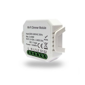 RL1004-DM Двухканальное Wi-Fi реле-диммер 2 x 100 Вт рис.0