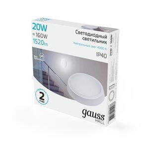 Светильник ЖКХ Gauss HALL круг 20W 1520lm 4000K 200-240V IP40 D180*33мм белый LED 1/40 рис.2