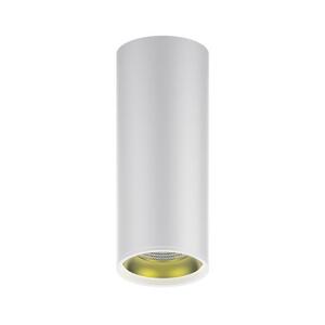 HD012 LED светильник накладной HD012 12W (белый золото) 3000K 79x200,900лм,1/30 рис.1