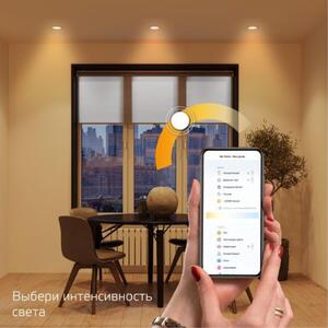 2020122 Gauss Светильник светодиодный Gauss Smart Home DIM 16 Вт 1/30 рис.2