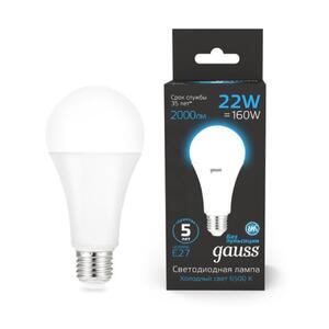 102502322 Лампа Gauss A70 22W 1640lm 6500K E27 LED 1/10/50 рис.0